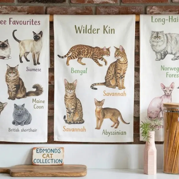 What Is a Tea Towel? Uses, Fabric & Sizes Explained