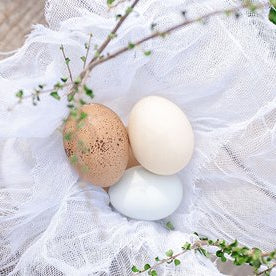 cheesecloth flour sack towels as replacement